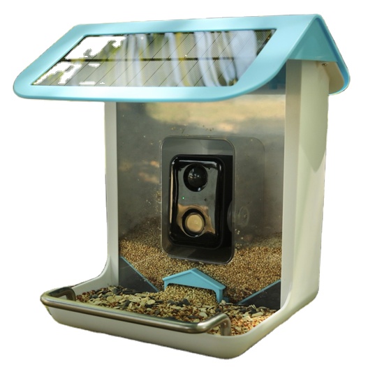 Bird Feeder Camera Wifi Smart Ai - Kamera Wifi Satwa Liar Luar Ruangan,