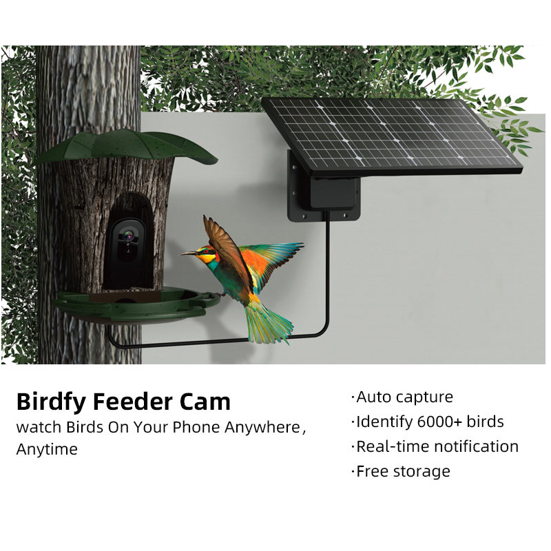 Bird Feeder Camera Wifi Smart Ai - RS1 Kamera Identifikasi Burung Tahan Air