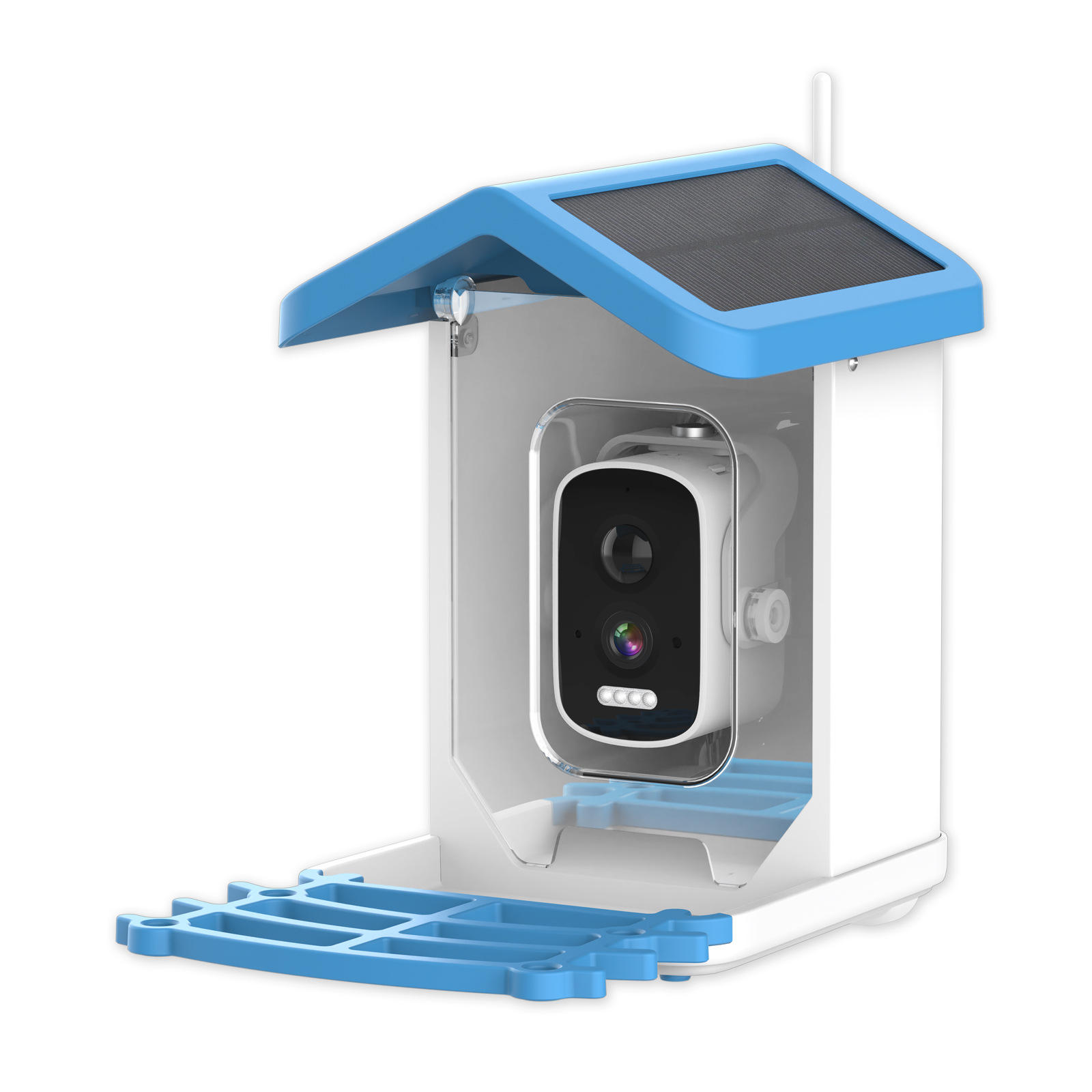 Bird Feeder Camera Wifi Smart Ai - Kamera Pemberi Makan Burung Otomatis Cerdas
