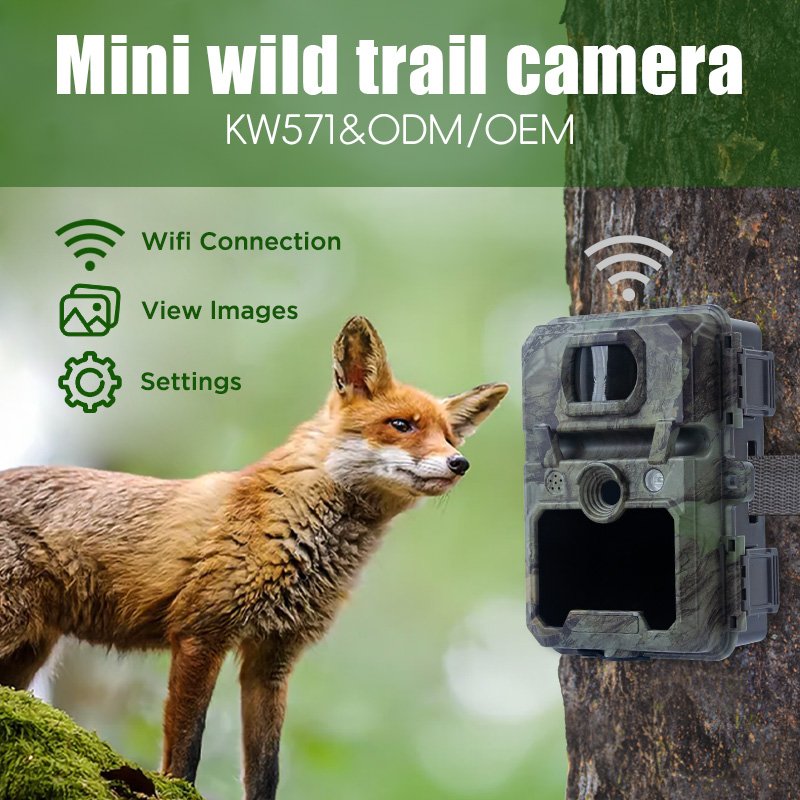 Hunting Game Camera Night Vision No Glow - Kamera Berburu No-Glow Night Vision IP67