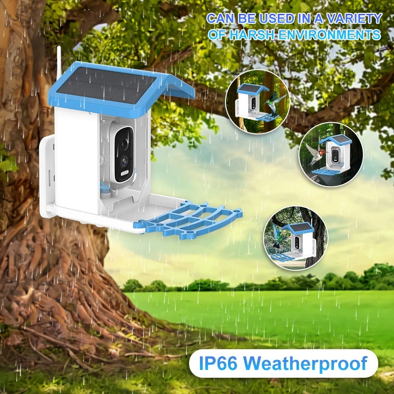 Bird Feeder Camera Wifi Smart Ai - Kamera Pengumpan Burung AI Bird Smart
