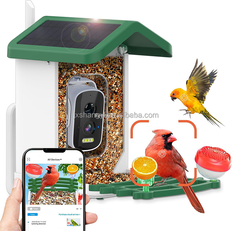 Bird Feeder Camera Wifi Smart Ai - Pengidentifikasi Otomatis OEM Tampilan Langsung WIFI