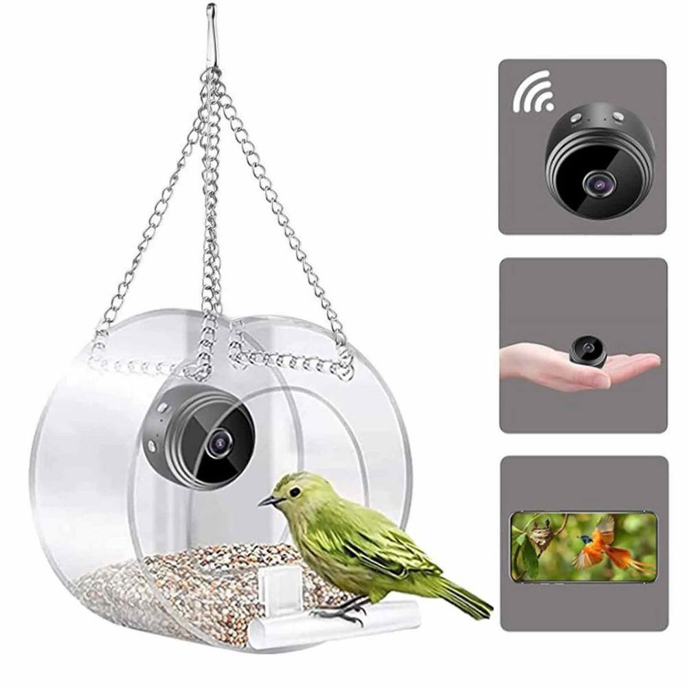 Bird Feeder Camera Wifi Smart Ai - Pengumpan Burung Pintar & Kamera Luar