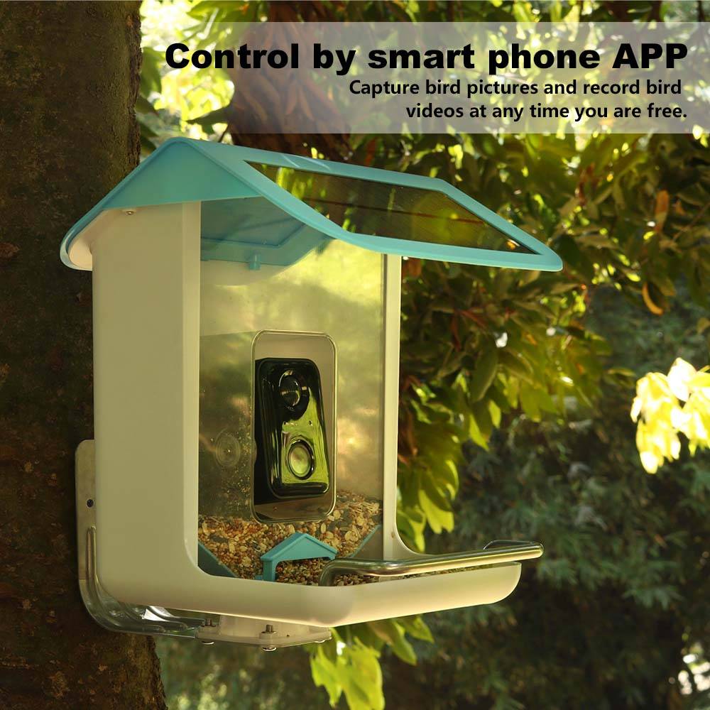Kamera Wifi Satwa Liar Luar Ru - Bird Feeder Camera Wifi Smart Ai ulasan dan harga