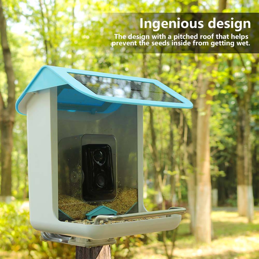 Kamera Wifi Satwa Liar Luar Ru - Bird Feeder Camera Wifi Smart Ai ulasan dan harga
