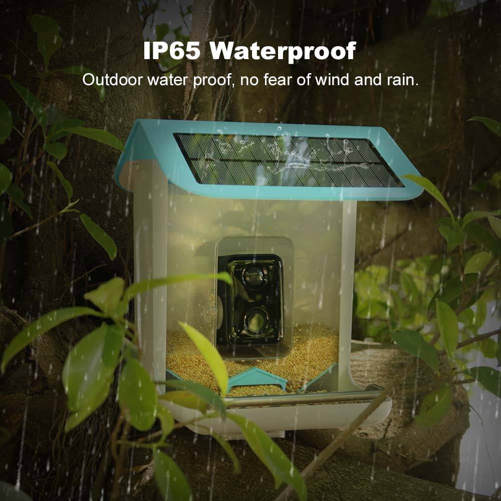 Kamera Wifi Satwa Liar Luar Ru - Bird Feeder Camera Wifi Smart Ai ulasan dan harga