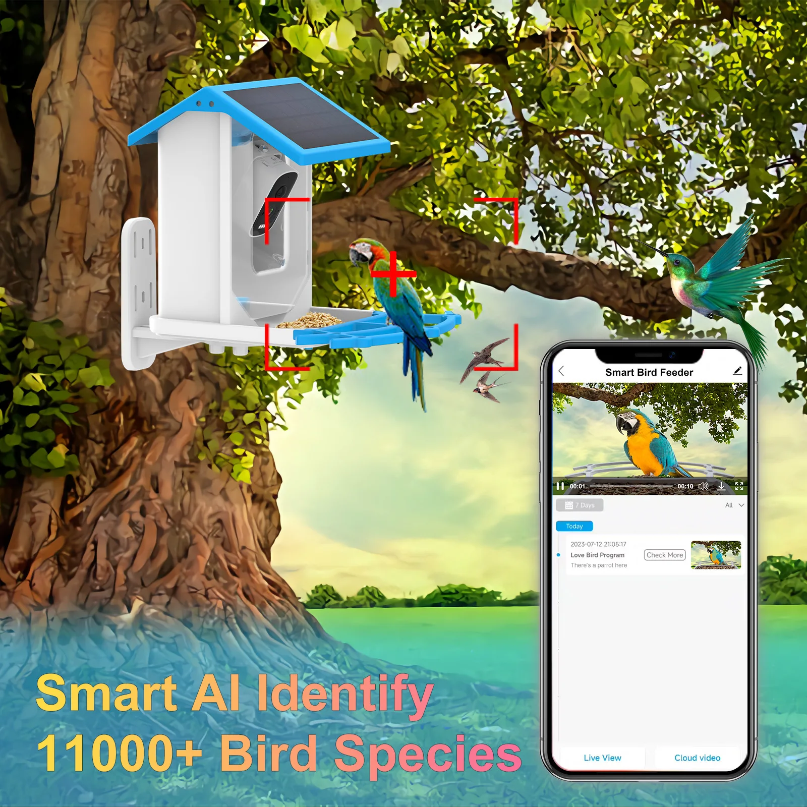 Kamera pengumpan burung pintar - Bird Feeder Camera Wifi Smart Ai ulasan dan harga