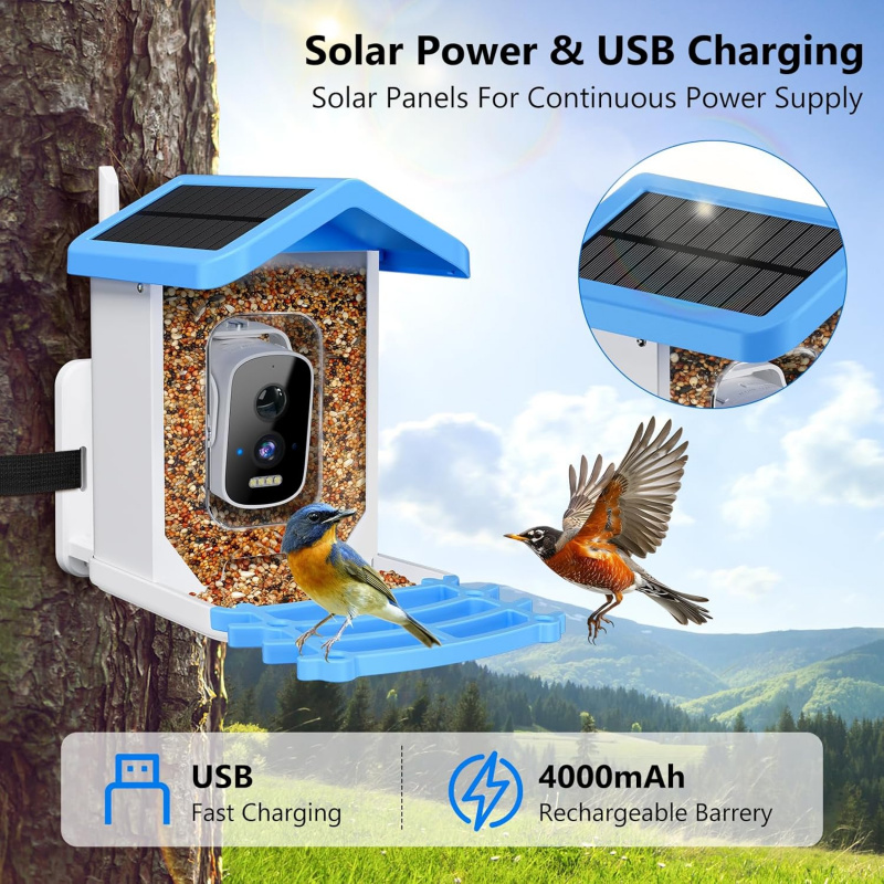 Pengumpan Burung Pintar dengan - Bird Feeder Camera Wifi Smart Ai ulasan dan harga