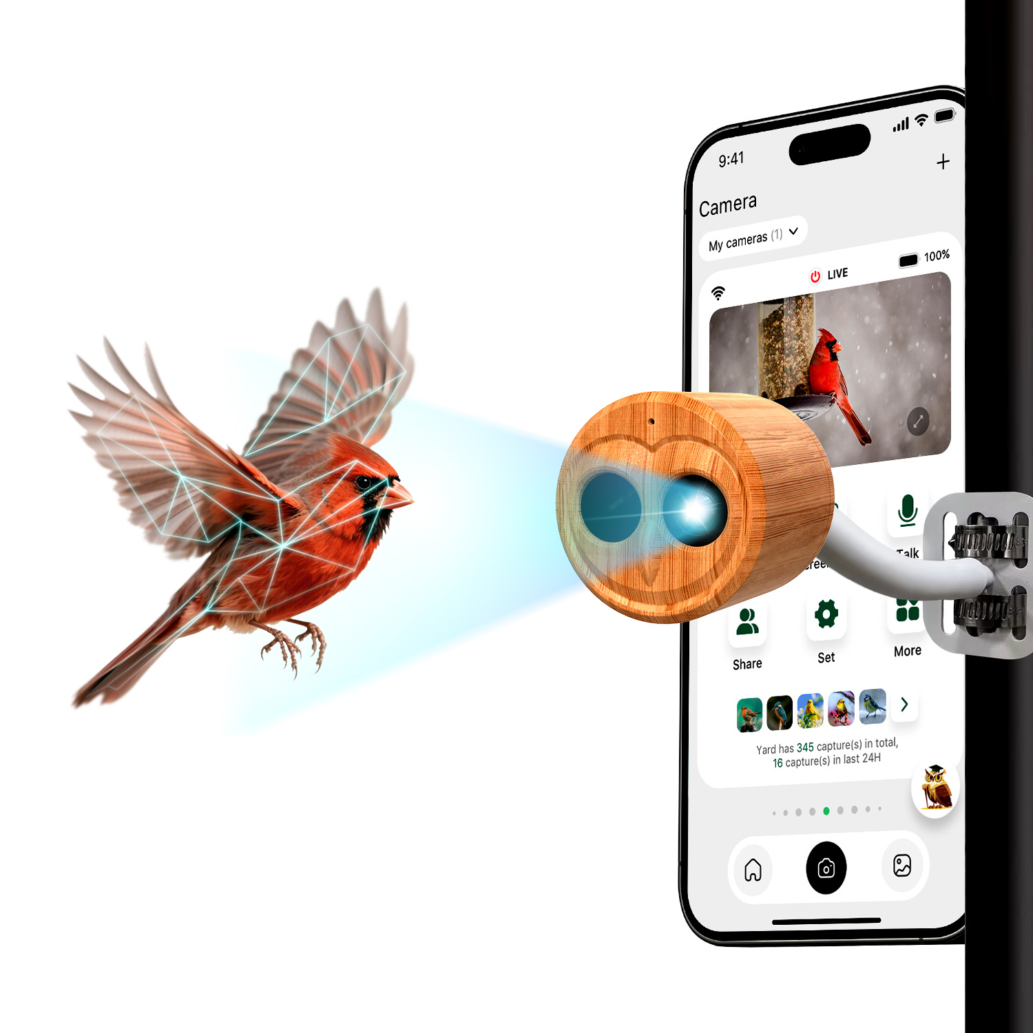 Pengumpan Burung Pintar 4K Den - Bird Feeder Camera Wifi Smart Ai ulasan dan harga