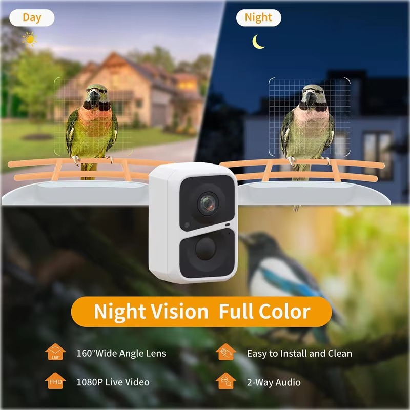 Pengumpan Burung Pintar AI 2L  - Bird Feeder Camera Wifi Smart Ai ulasan dan harga