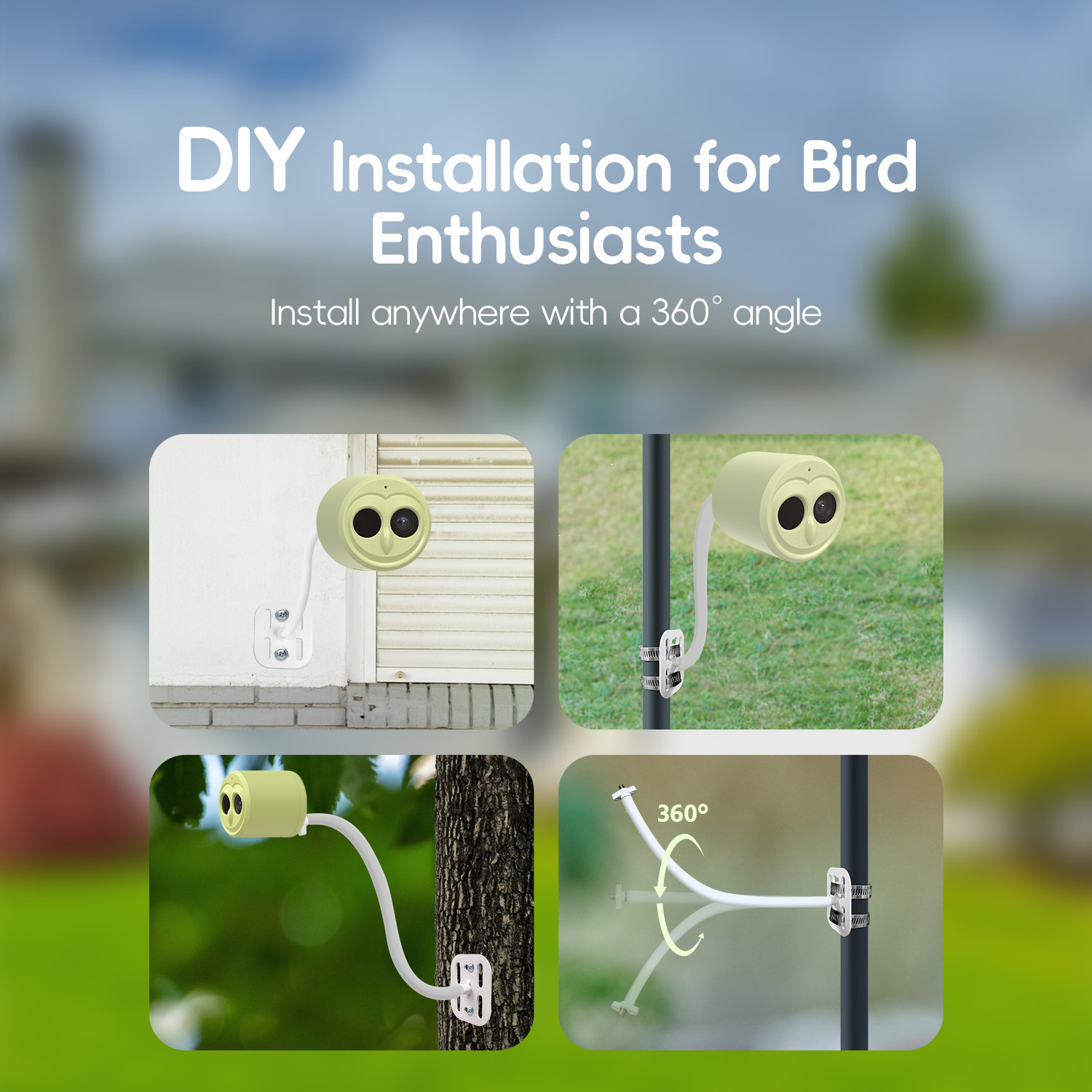 WILLFINE Pengumpan Burung Otom - Bird Feeder Camera Wifi Smart Ai ulasan dan harga