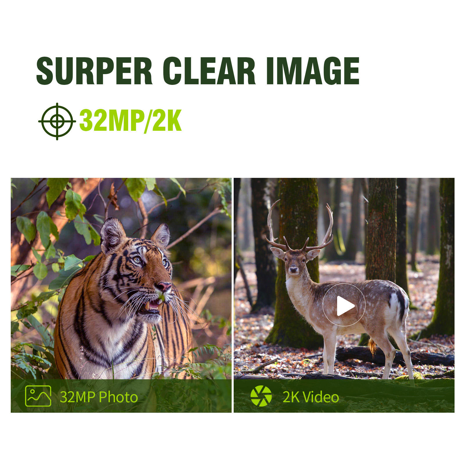 Kamera Jejak Seluler Keepguard - Cellular Trail Camera Live Stream ulasan dan harga