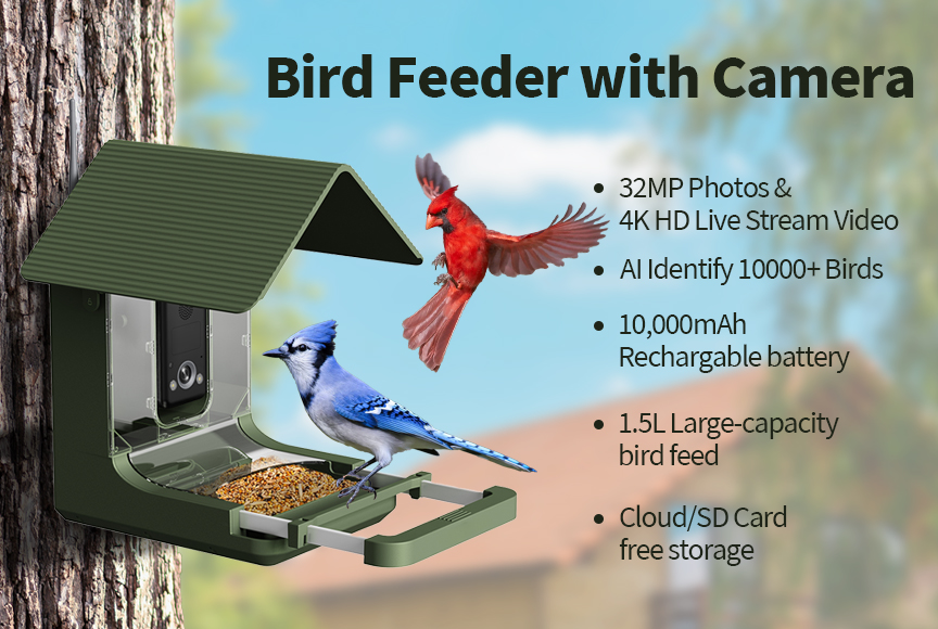 Kamera Pemberi Makan Burung Pi - Bird Feeder Camera Wifi Smart Ai ulasan dan harga