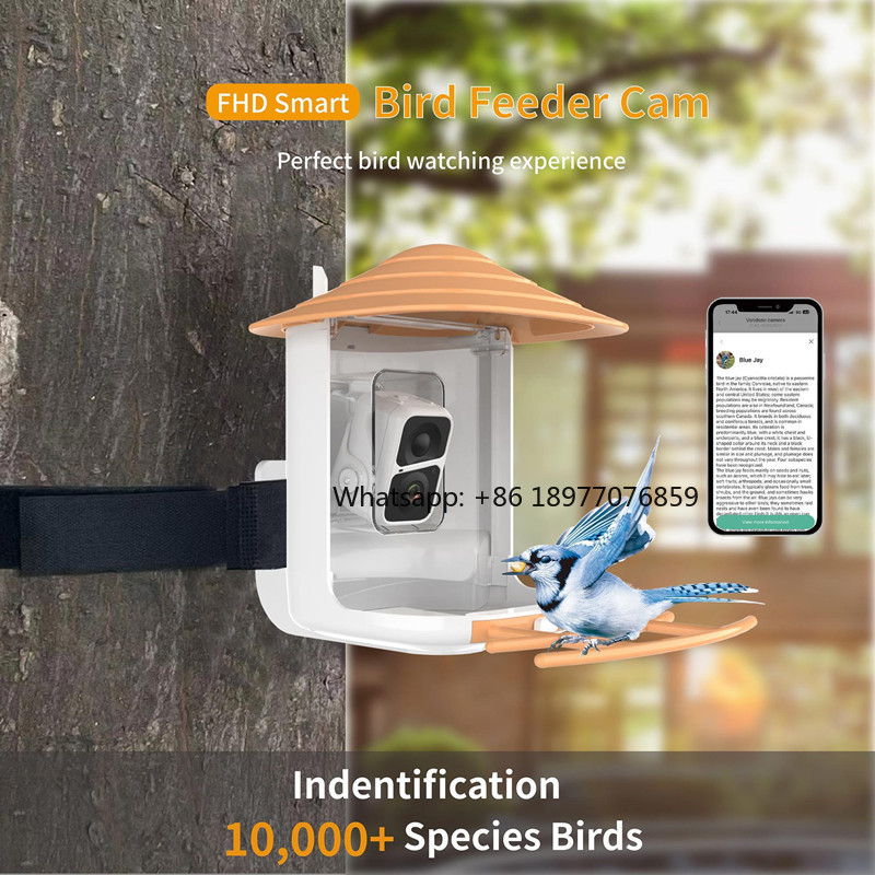 2026 2L IP66 AI Smart Bird Fee - Bird Feeder Camera Wifi Smart Ai ulasan dan harga