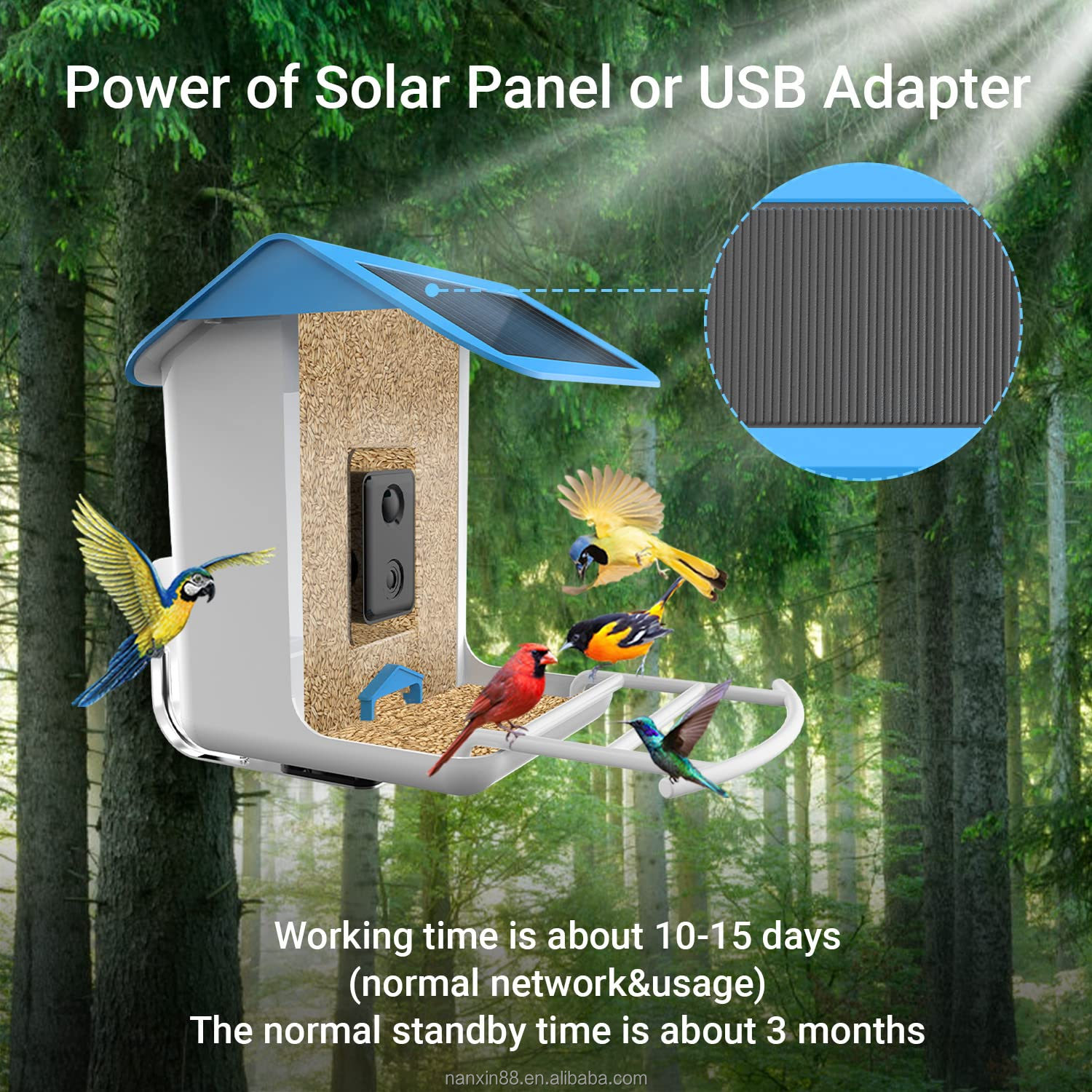 Pengumpan Burung Pintar, Kamer - Bird Feeder Camera Wifi Smart Ai ulasan dan harga