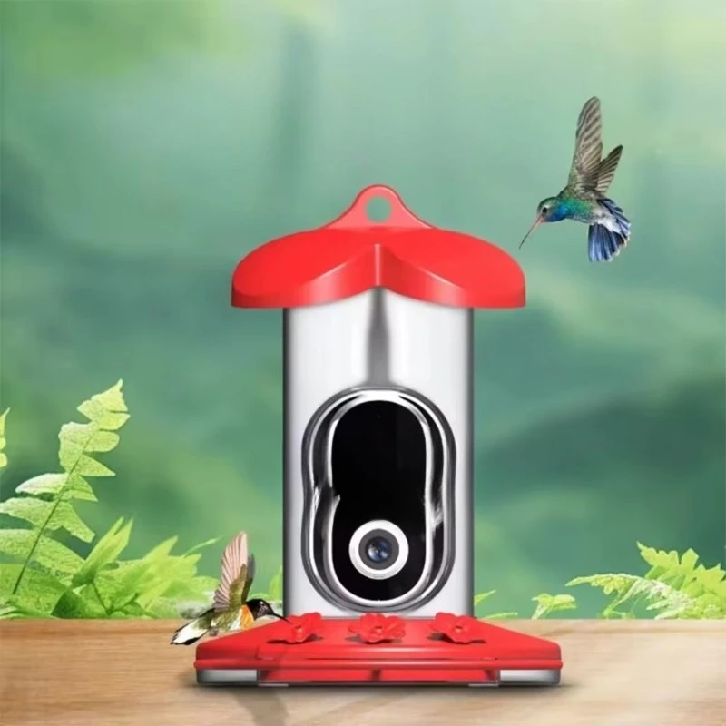 Pengumpan Burung WiFi Pintar d - Bird Feeder Camera Wifi Smart Ai ulasan dan harga