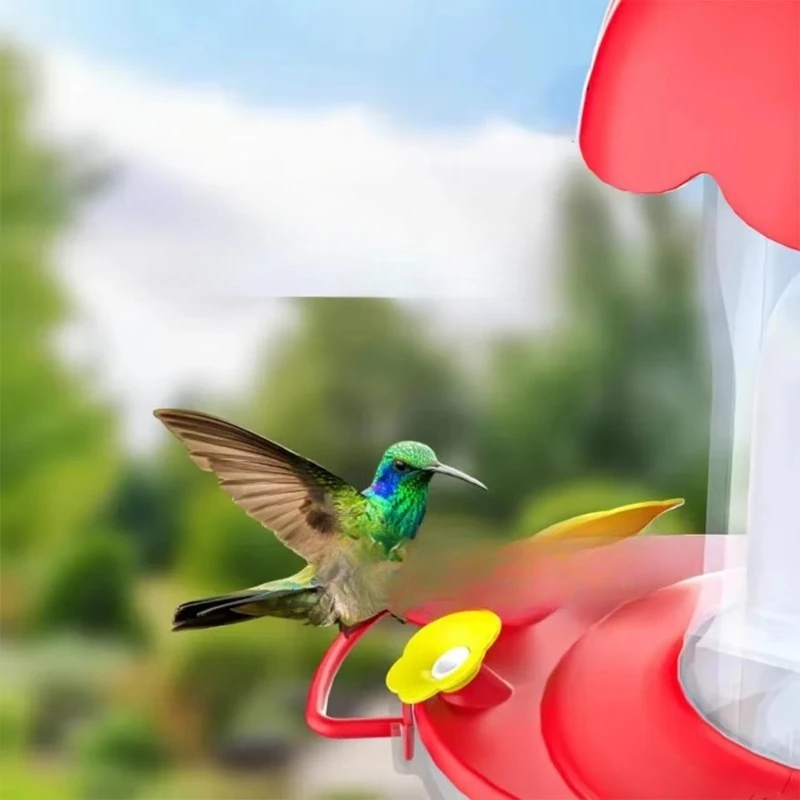 Pengumpan Burung WiFi Pintar d - Bird Feeder Camera Wifi Smart Ai ulasan dan harga