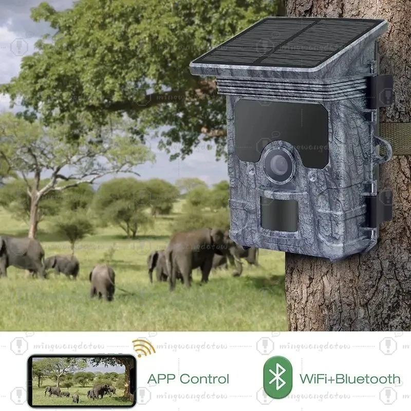Kamera Berburu 4K WiFi Tenaga  - Trail Camera Solar Panel Powered ulasan dan harga