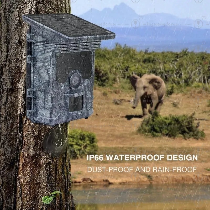 Kamera Berburu 4K WiFi Tenaga  - Trail Camera Solar Panel Powered ulasan dan harga