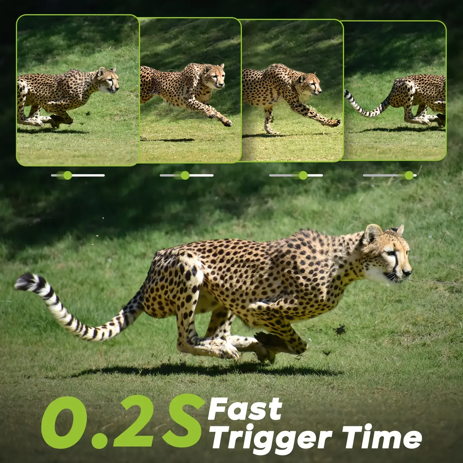 Kamera Jejak Seluler 4G LTE 8K - Hunting Game Camera Night Vision No Glow ulasan dan harga