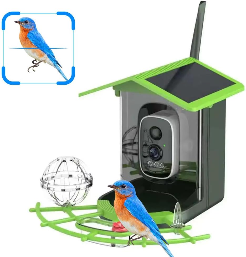 Aplikasi WIFI Pengamatan Burun - Bird Feeder Camera Wifi Smart Ai ulasan dan harga