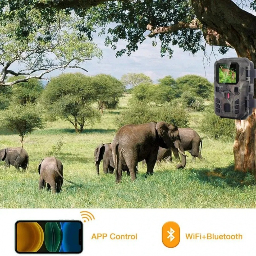 Kamera Perburuan Wifi Luar Rua - Trail Camera Wifi Bluetooth App Control ulasan dan harga