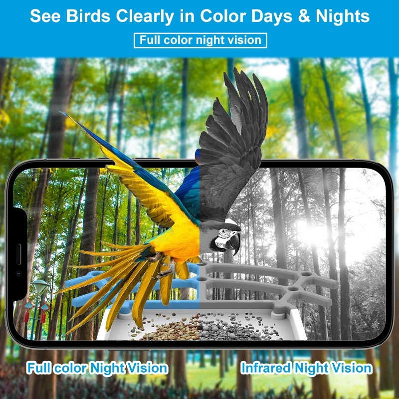 Kamera Pengumpan Burung AI Bir - Bird Feeder Camera Wifi Smart Ai ulasan dan harga