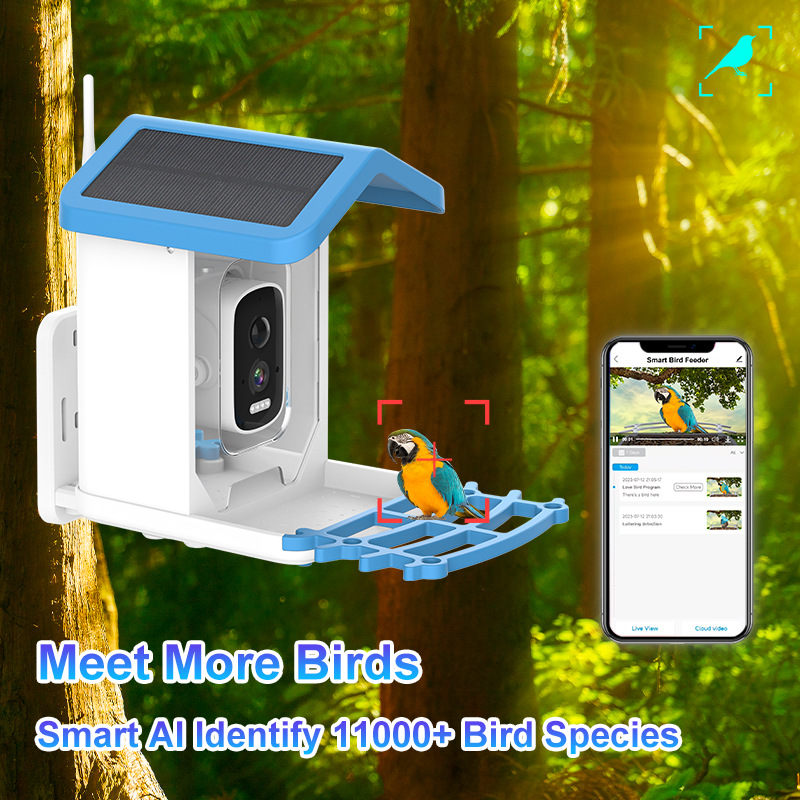 Kamera Pengumpan Burung AI Bir - Bird Feeder Camera Wifi Smart Ai ulasan dan harga