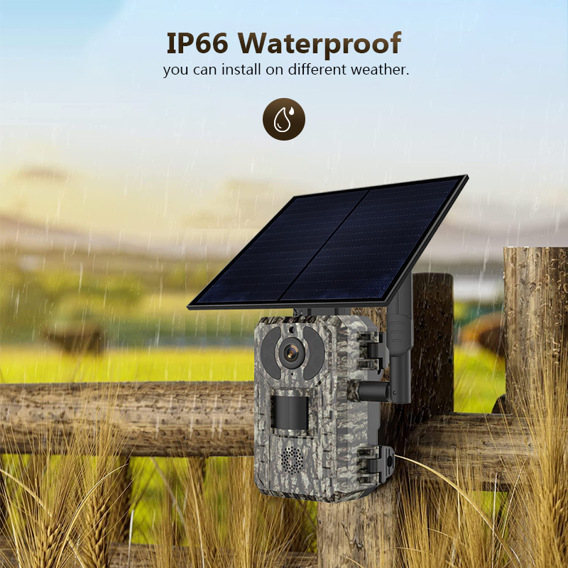 Kamera pengintaian berburu sat - Trail Camera Solar Panel Powered ulasan dan harga
