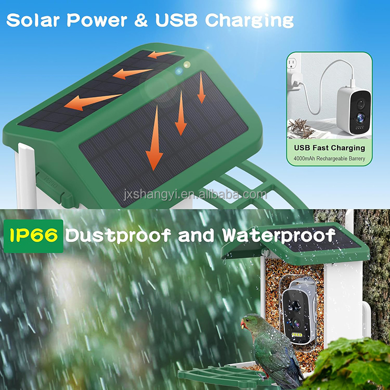Pengidentifikasi Otomatis OEM  - Bird Feeder Camera Wifi Smart Ai ulasan dan harga