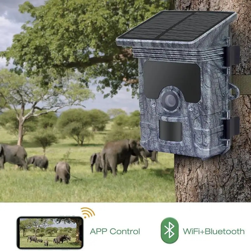 Kamera Berburu 4K WiFi Bertena - Trail Camera Solar Panel Powered ulasan dan harga