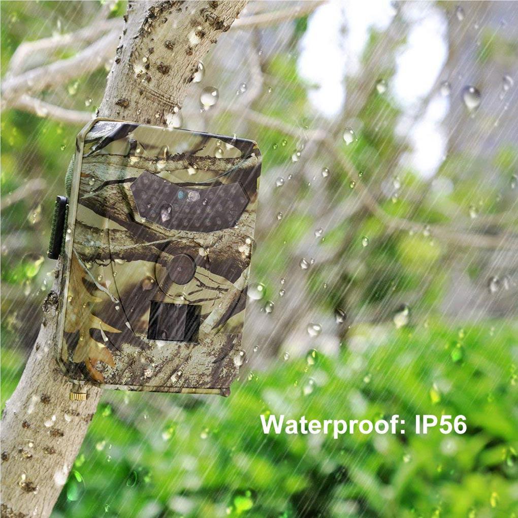 Kamera Trail PR100 940nm Pengl - Night Vision Trail Camera Infrared Leds ulasan dan harga