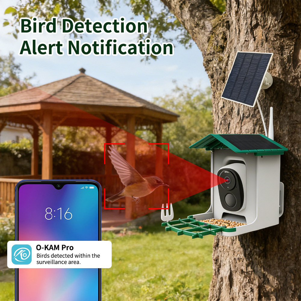 Pengumpan Burung Pintar, Kamer - Bird Feeder Camera Wifi Smart Ai ulasan dan harga