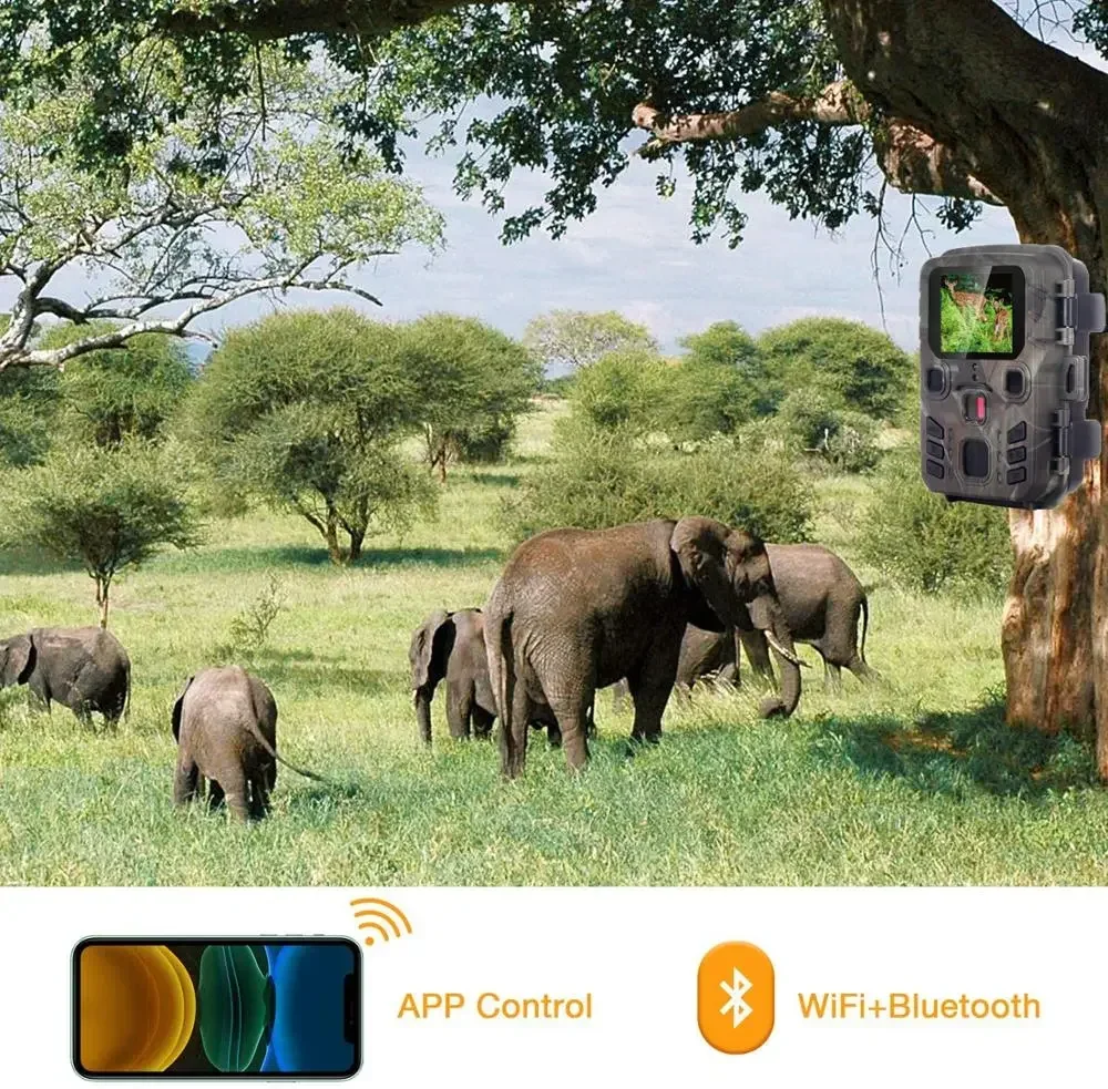 Kamera Berburu Wifi301 Kontrol - Trail Camera Wifi Bluetooth App Control ulasan dan harga