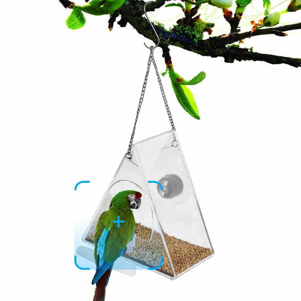 Pengumpan Burung Pintar & Kame - Bird Feeder Camera Wifi Smart Ai ulasan dan harga