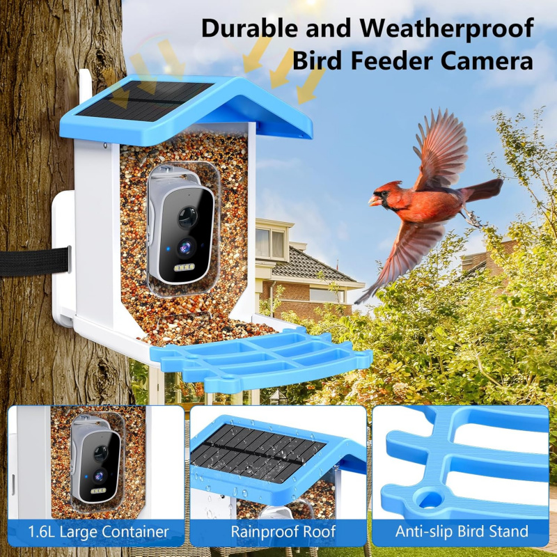Pengumpan Burung Pintar WiFi d - Bird Feeder Camera Wifi Smart Ai ulasan dan harga