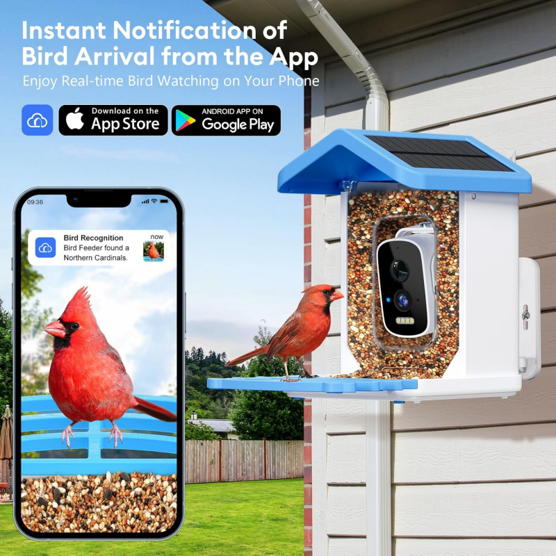 Pengumpan Burung Pintar WiFi d - Bird Feeder Camera Wifi Smart Ai ulasan dan harga