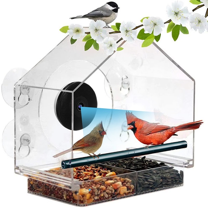 Kamera Pengumpan Burung Pintar - Bird Feeder Camera Wifi Smart Ai ulasan dan harga