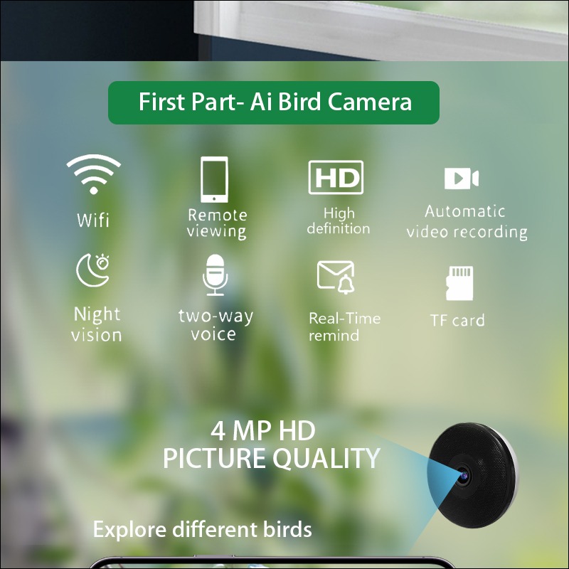 Kamera Pengumpan Burung Pintar - Bird Feeder Camera Wifi Smart Ai ulasan dan harga