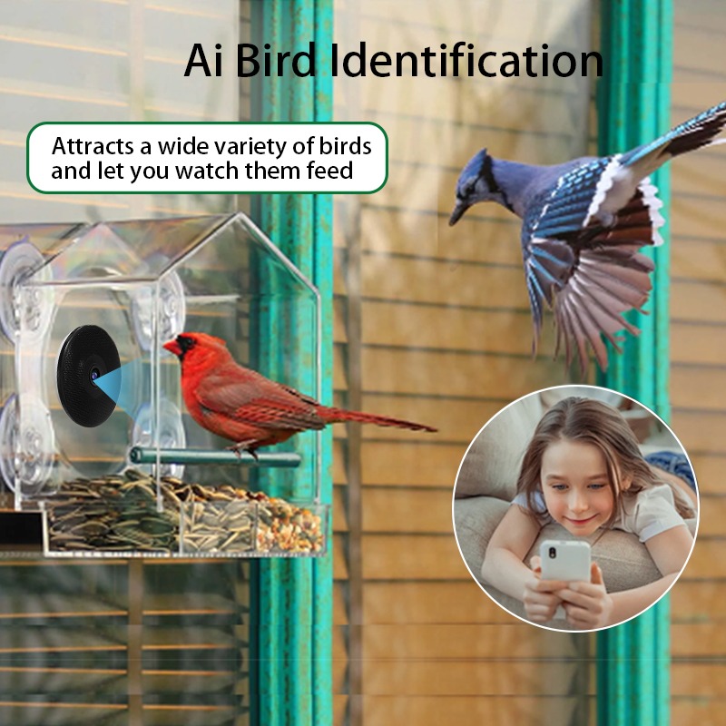 Kamera Pengumpan Burung Pintar - Bird Feeder Camera Wifi Smart Ai ulasan dan harga